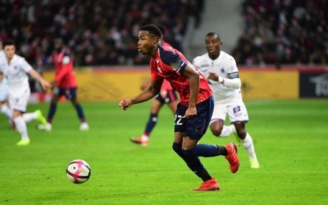 加盟雄鹿意 加盟雄鹿意